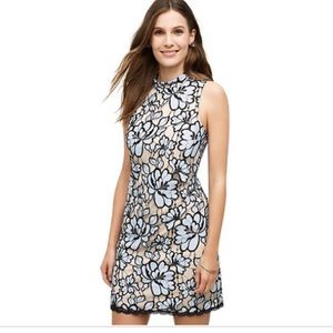 Anthropologie Women’s Sleeveless Mock Dress SZ 6